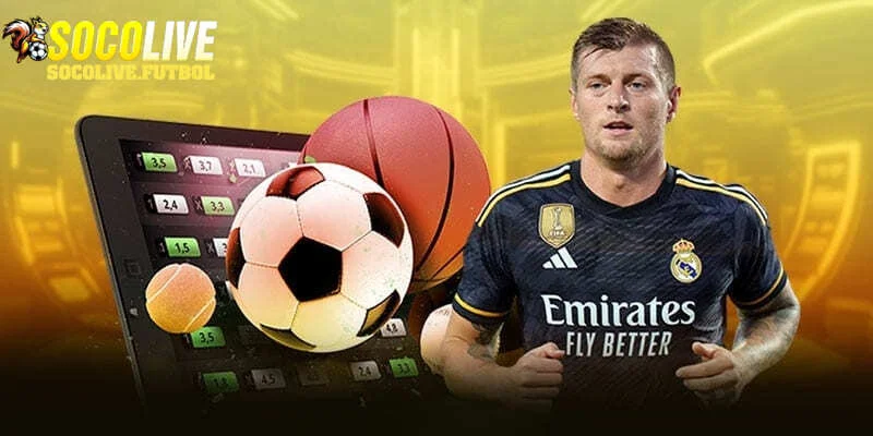 Các trường hợp được phản hồi từ SOCOLIVE