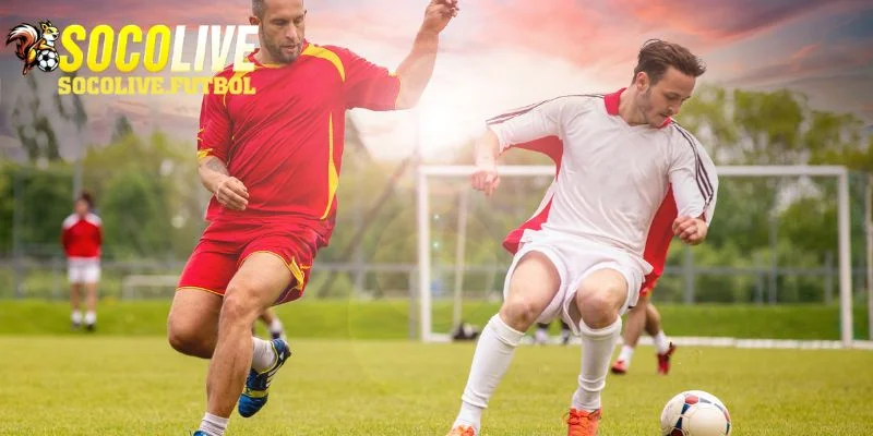 Tổng hợp các nội dung chính khi giới thiệu SOCOLIVE