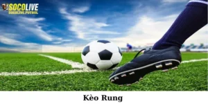 Kèo rung
