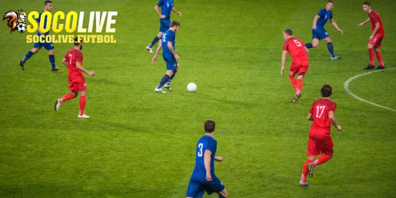 Một vài lưu ý giúp theo dõi lịch thi đấu nhanh chóng
