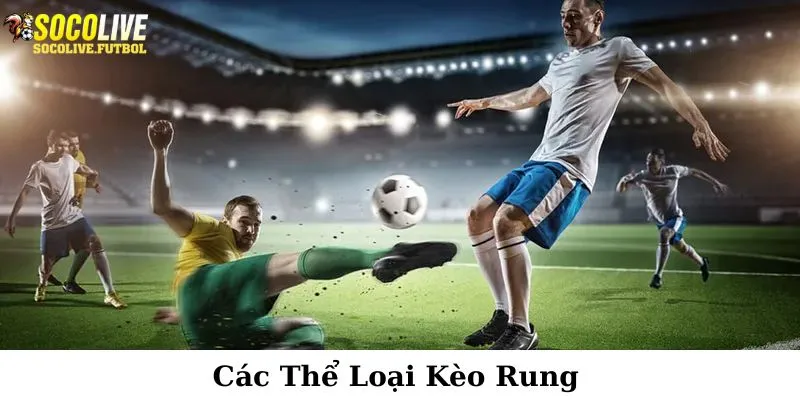 Một vài thể loại kèo rung nổi bật nhất