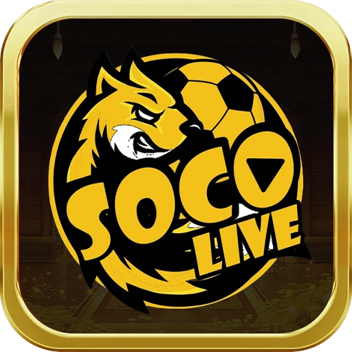 Logo fav Socolive