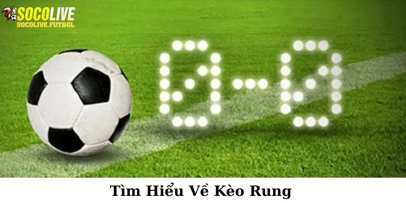 Thông tin giới thiệu khái quát về kèo rung
